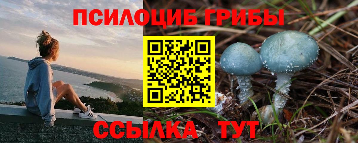 Галлюциногенные грибы Psilocybine cubensis Гусь-Хрустальный